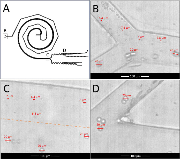 Figure 13