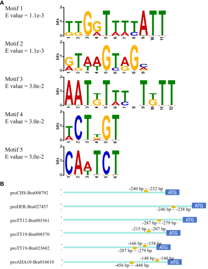 Figure 5