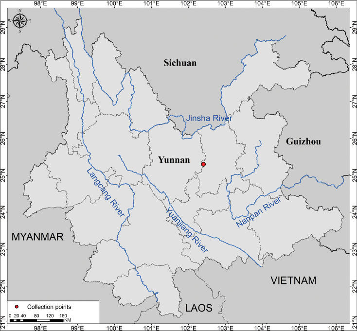 Figure 5