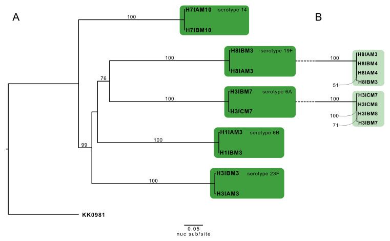 Figure 4