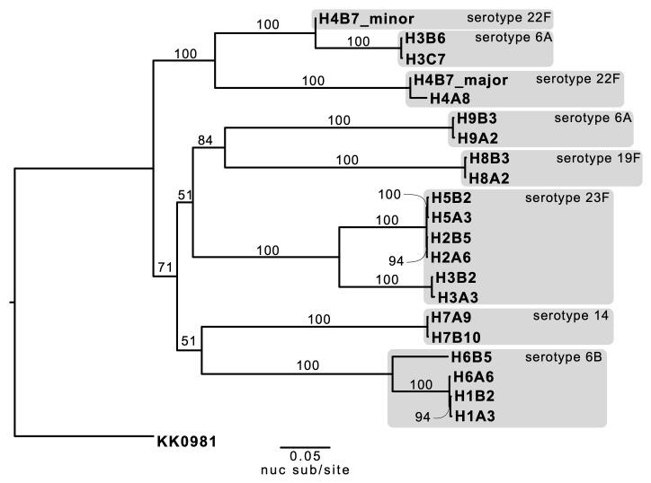 Figure 5