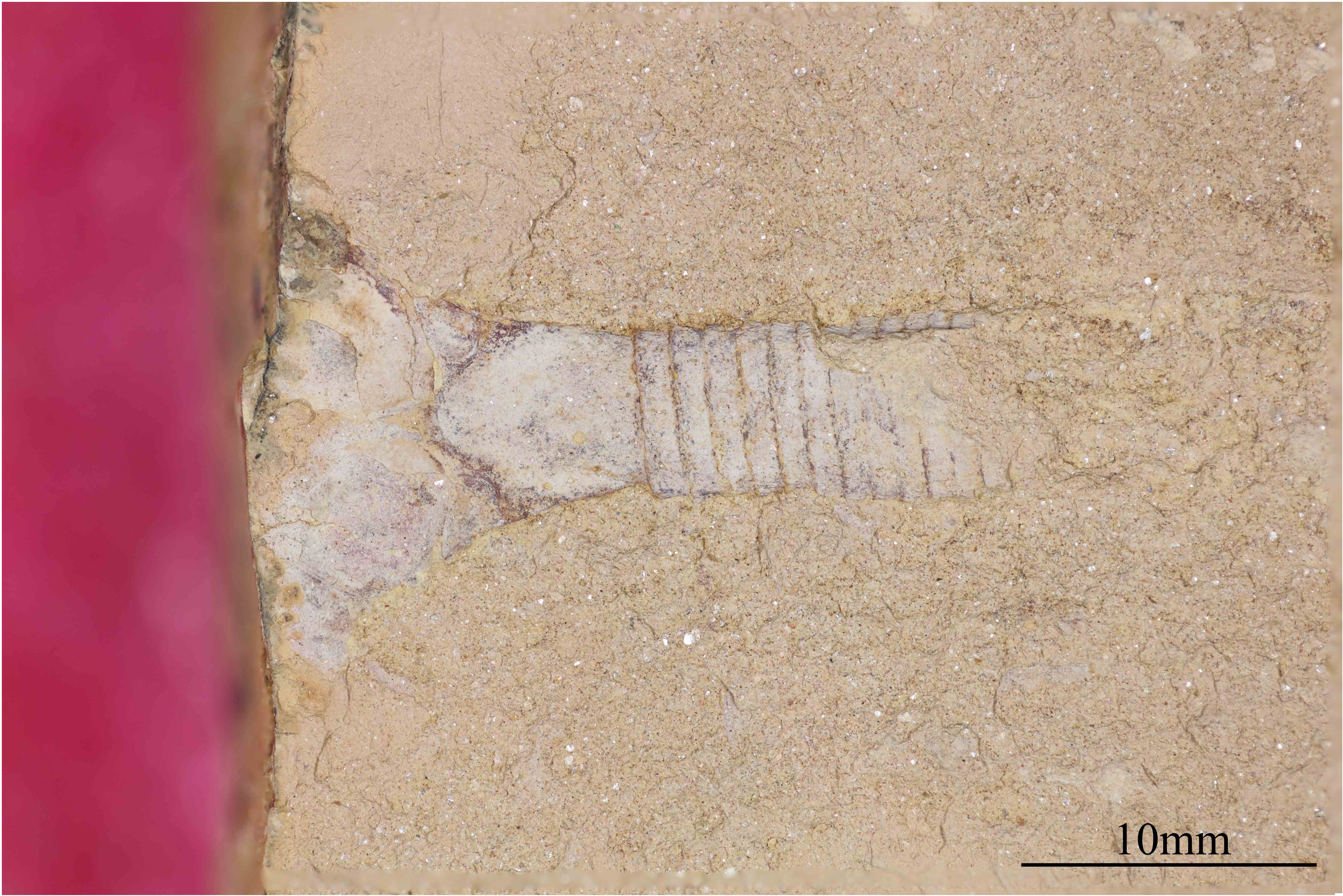 Figure 8