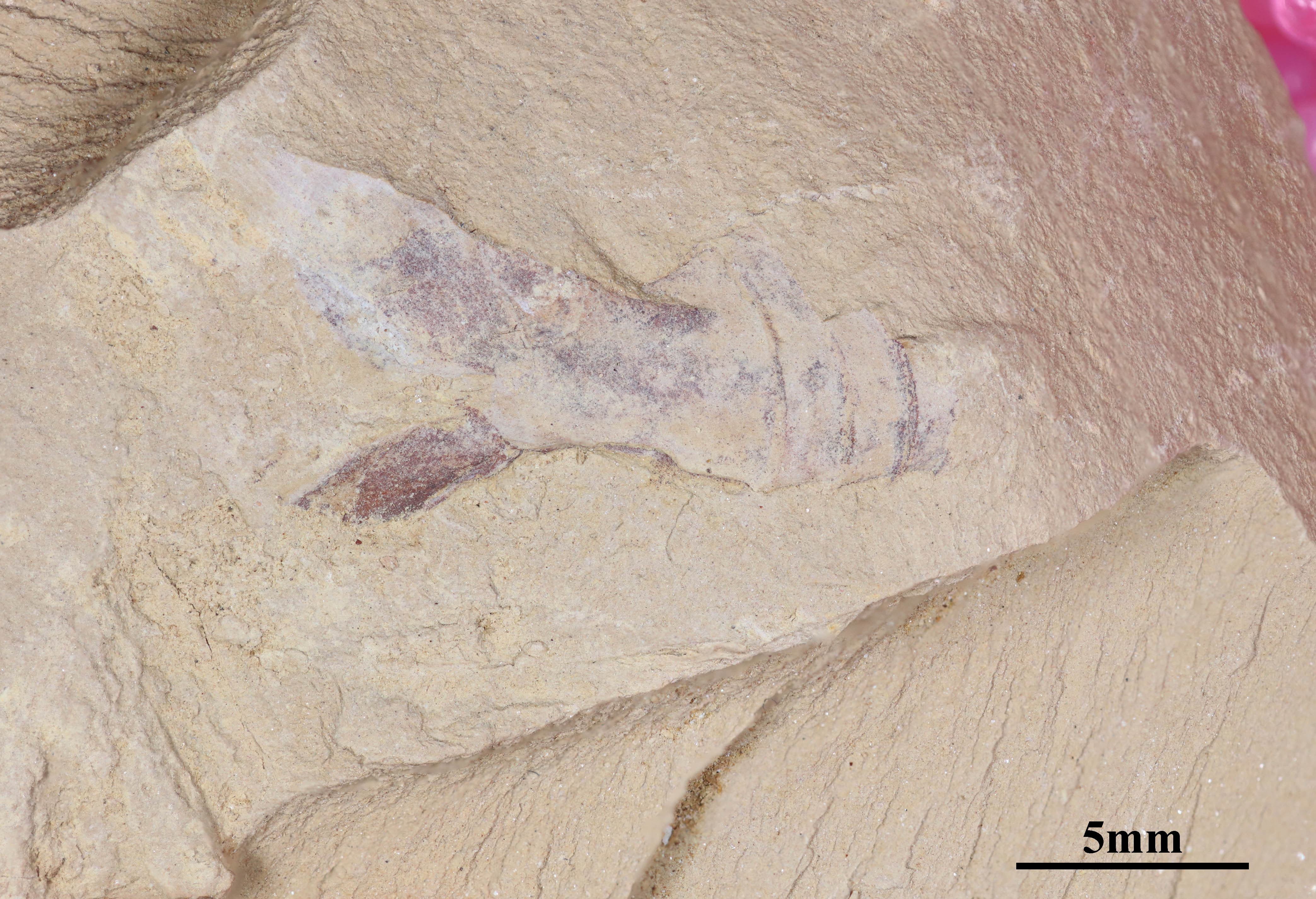 Figure 16