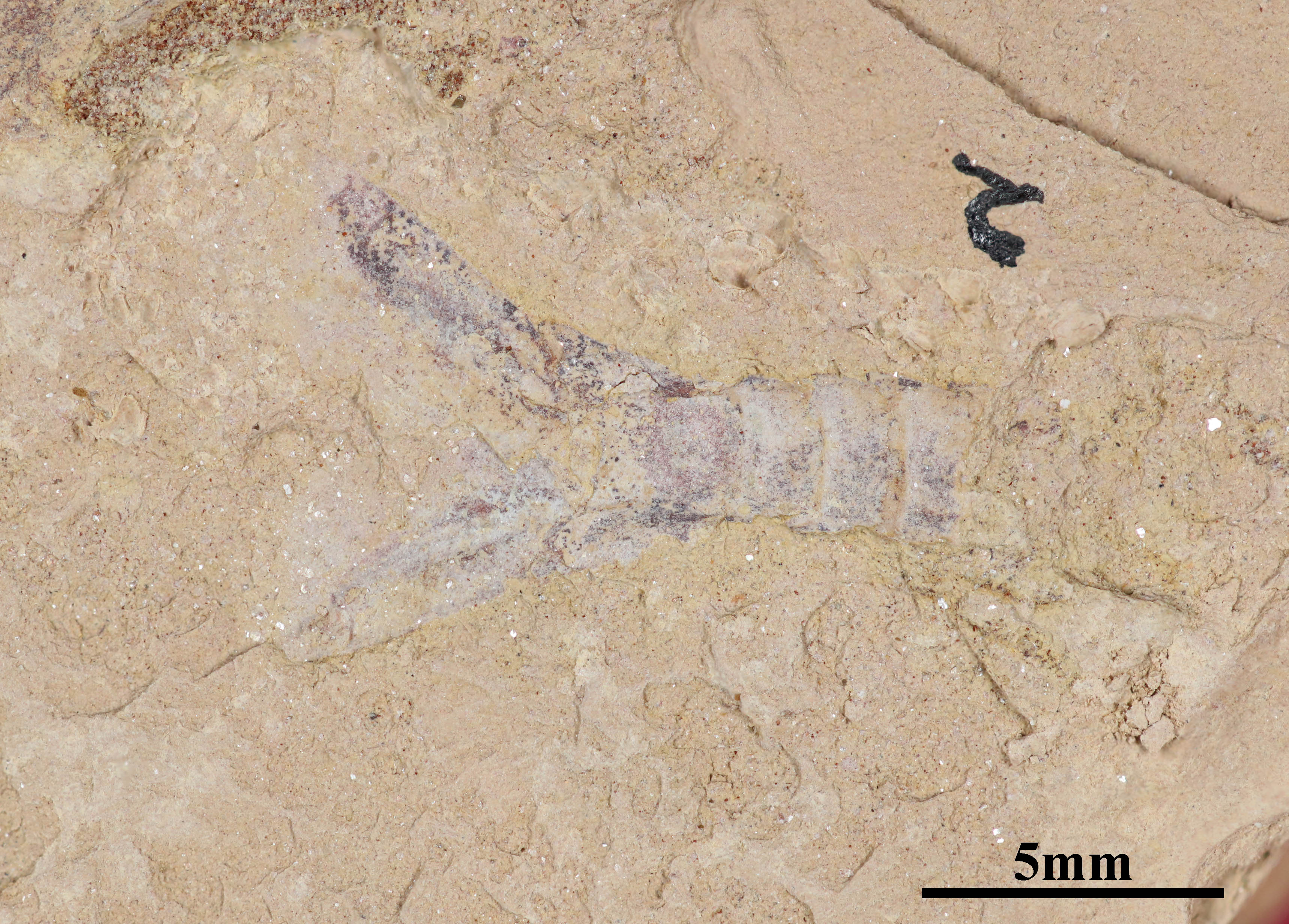 Figure 17