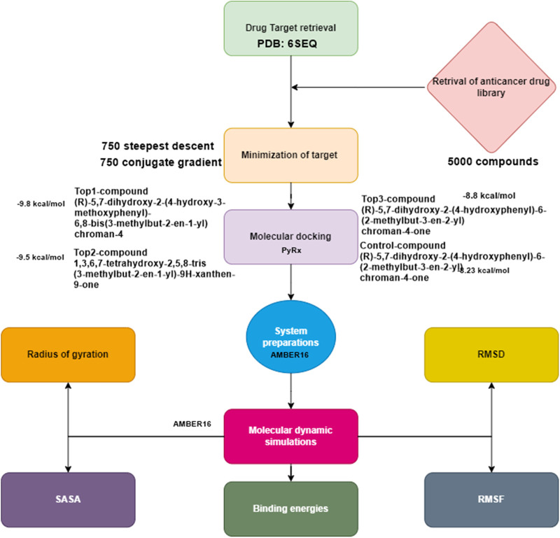 Figure 10