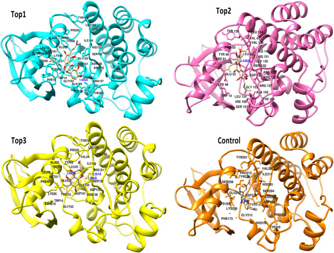 Figure 11