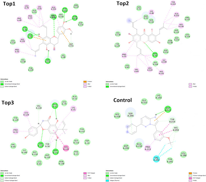 Figure 12