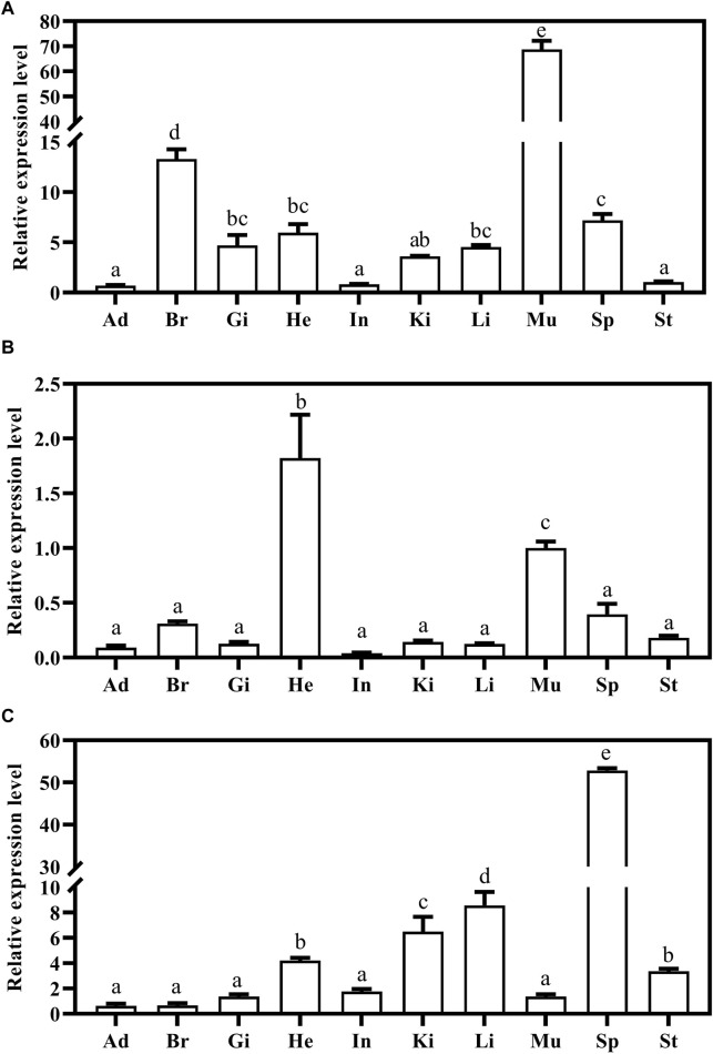 Figure 7