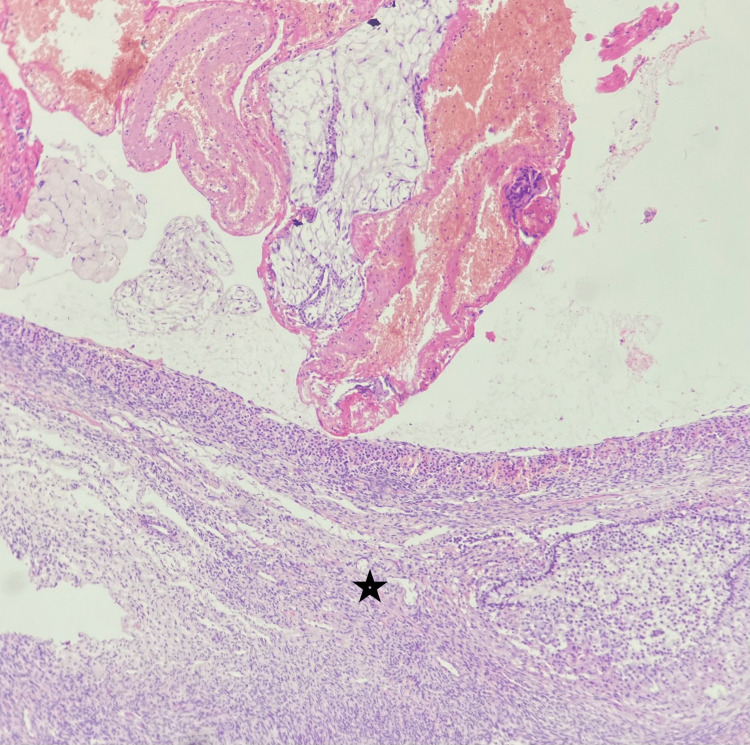 Figure 5