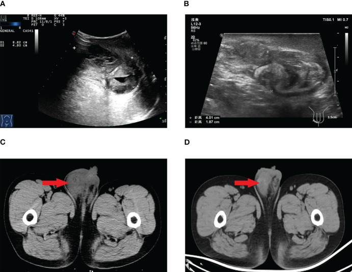 Figure 1