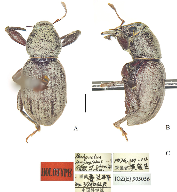 Figure 7