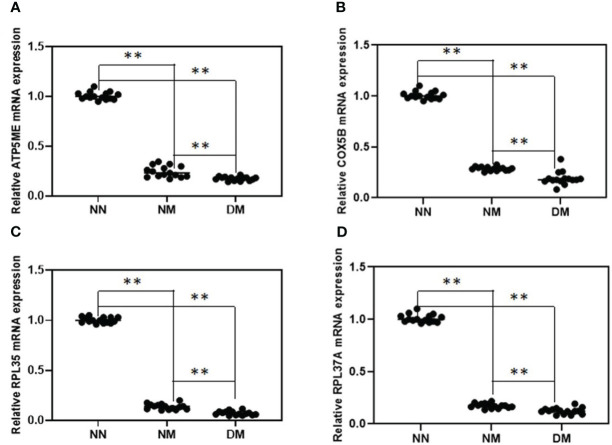 Figure 3