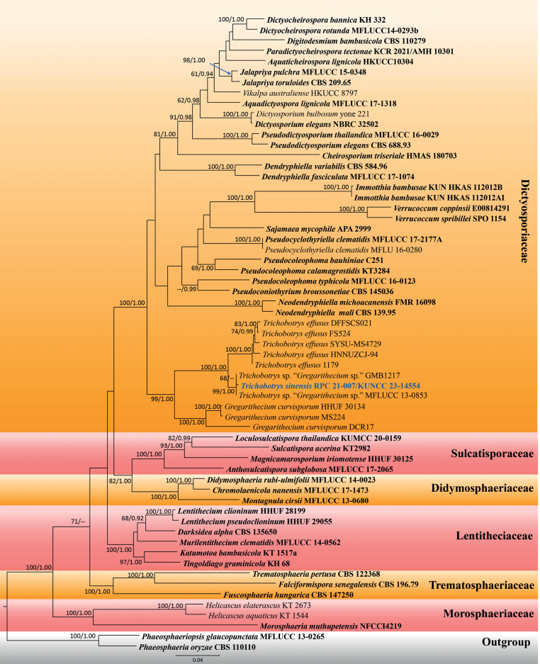 Figure 2