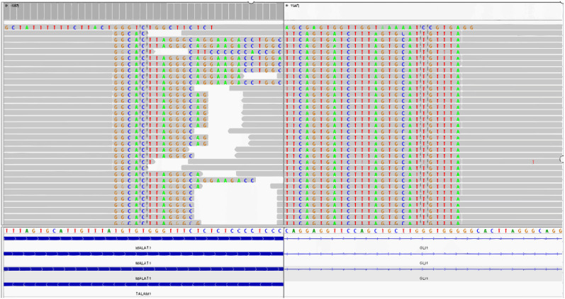 Figure 4