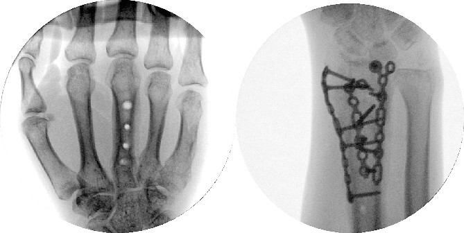 Figure 7