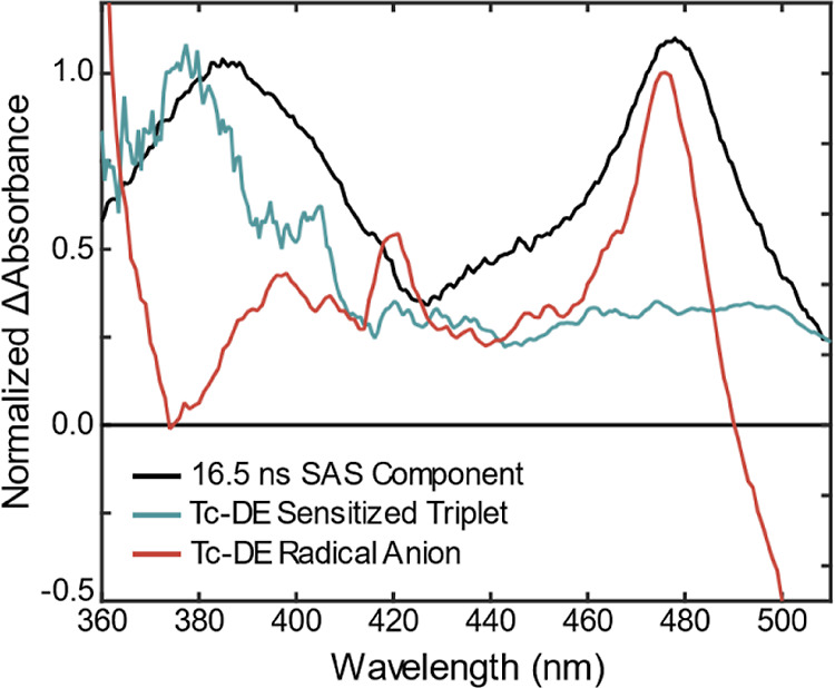 Figure 7