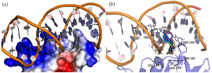Figure 9