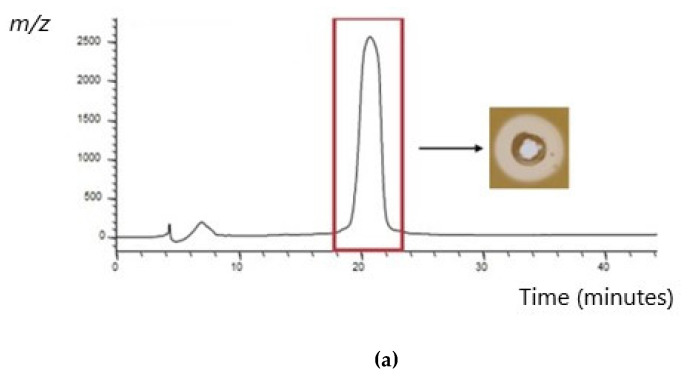 Figure 8