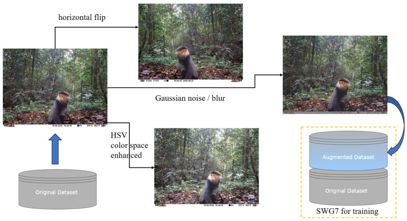 Figure 3