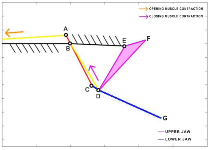 Figure 8