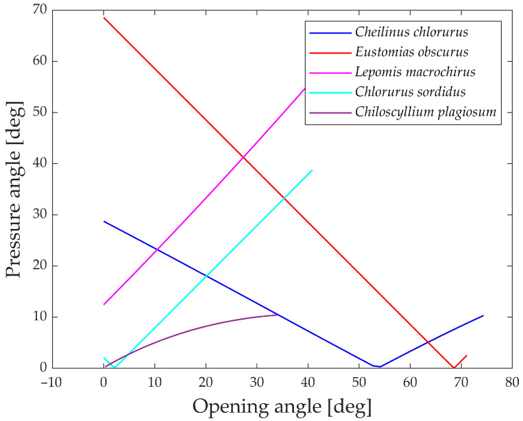 Figure 20
