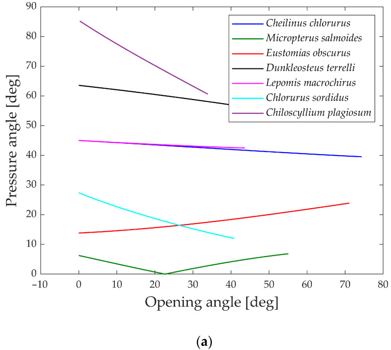 Figure 21