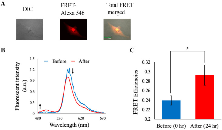 Figure 6