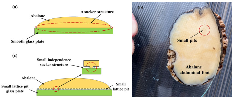 Figure 8