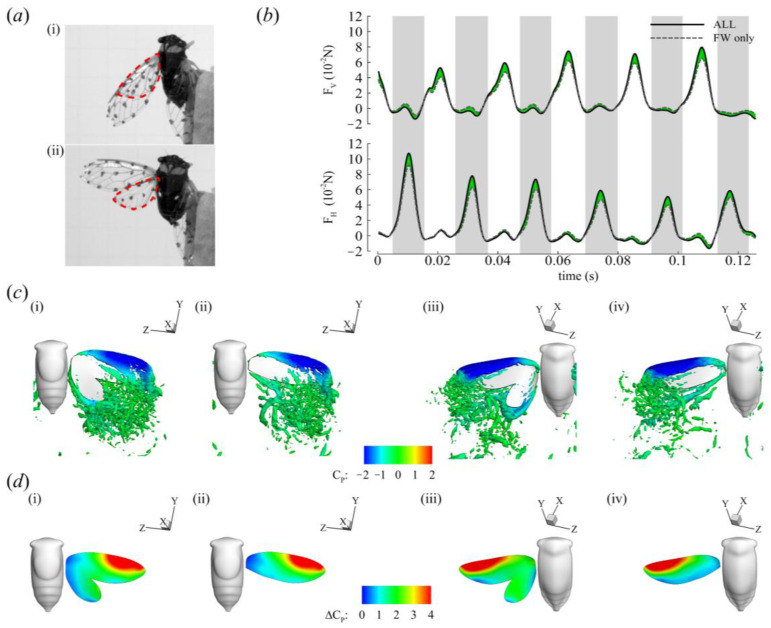 Figure 10