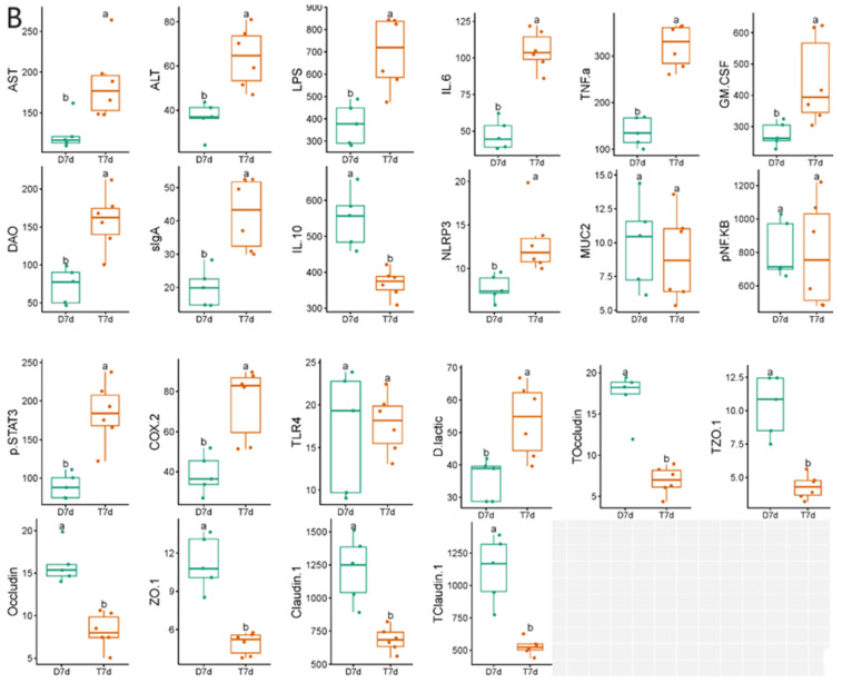 Figure 13