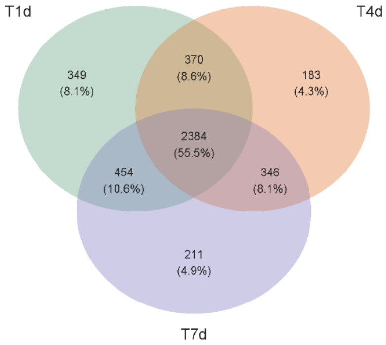 Figure 19