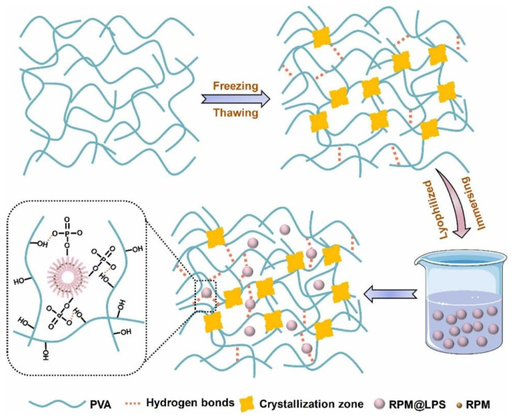 Figure 10