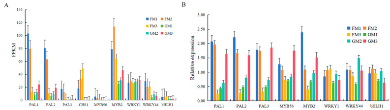 Figure 5