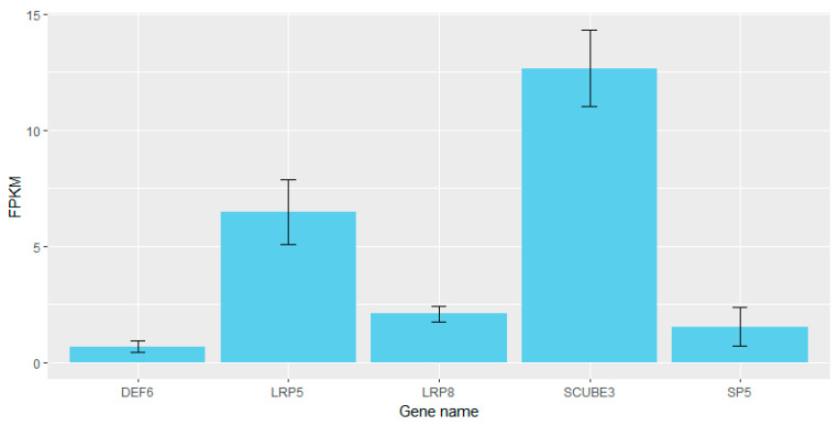 Figure 4