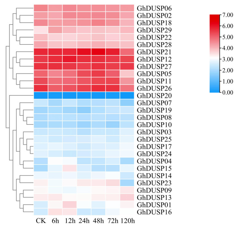 Figure 10