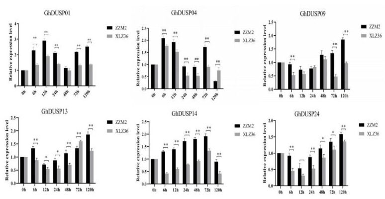 Figure 11