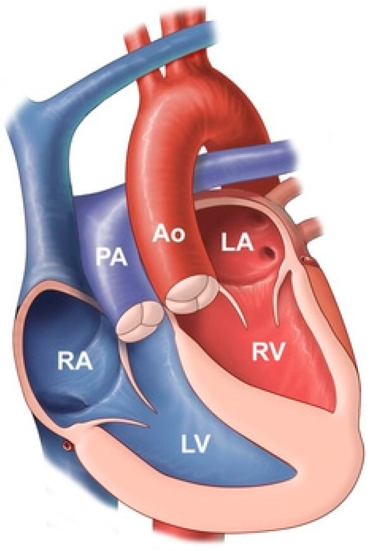 Figure 11