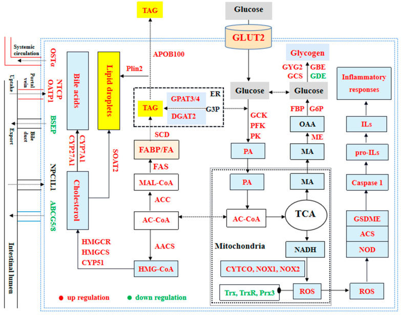 Figure 11