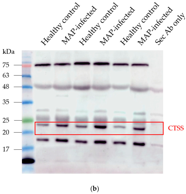 Figure 9