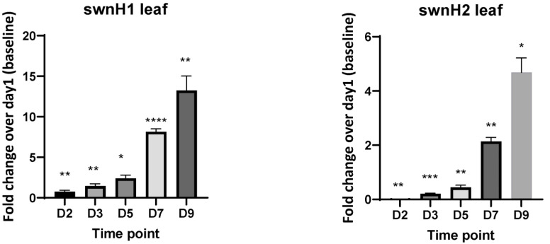 Figure 5