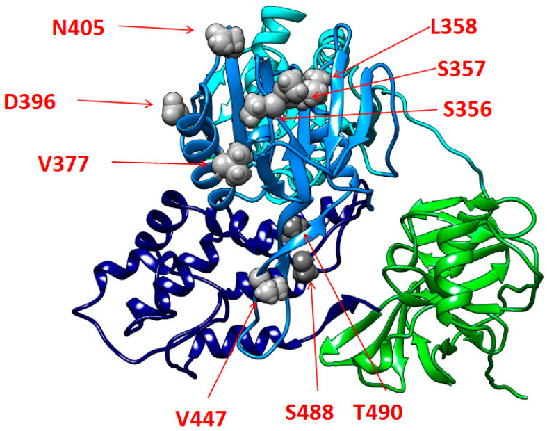 Figure 3