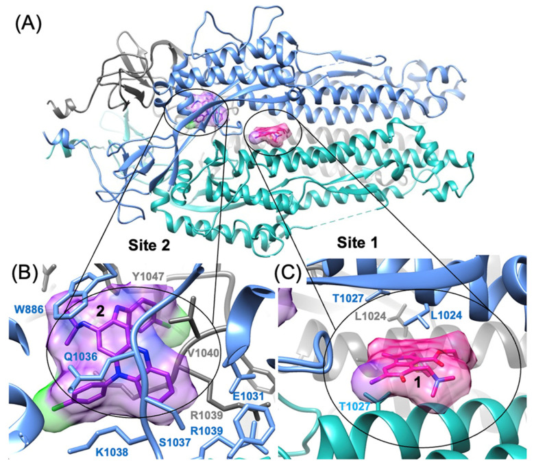 Figure 3