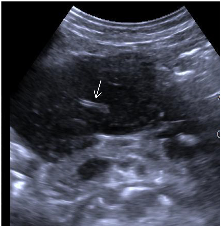 Figure 7