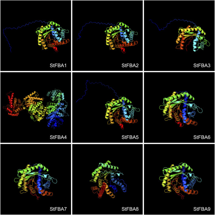 FIGURE 3