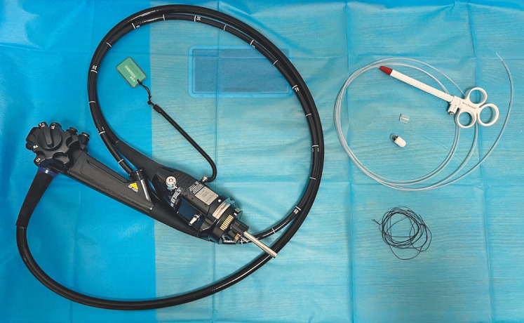 Fig. 1