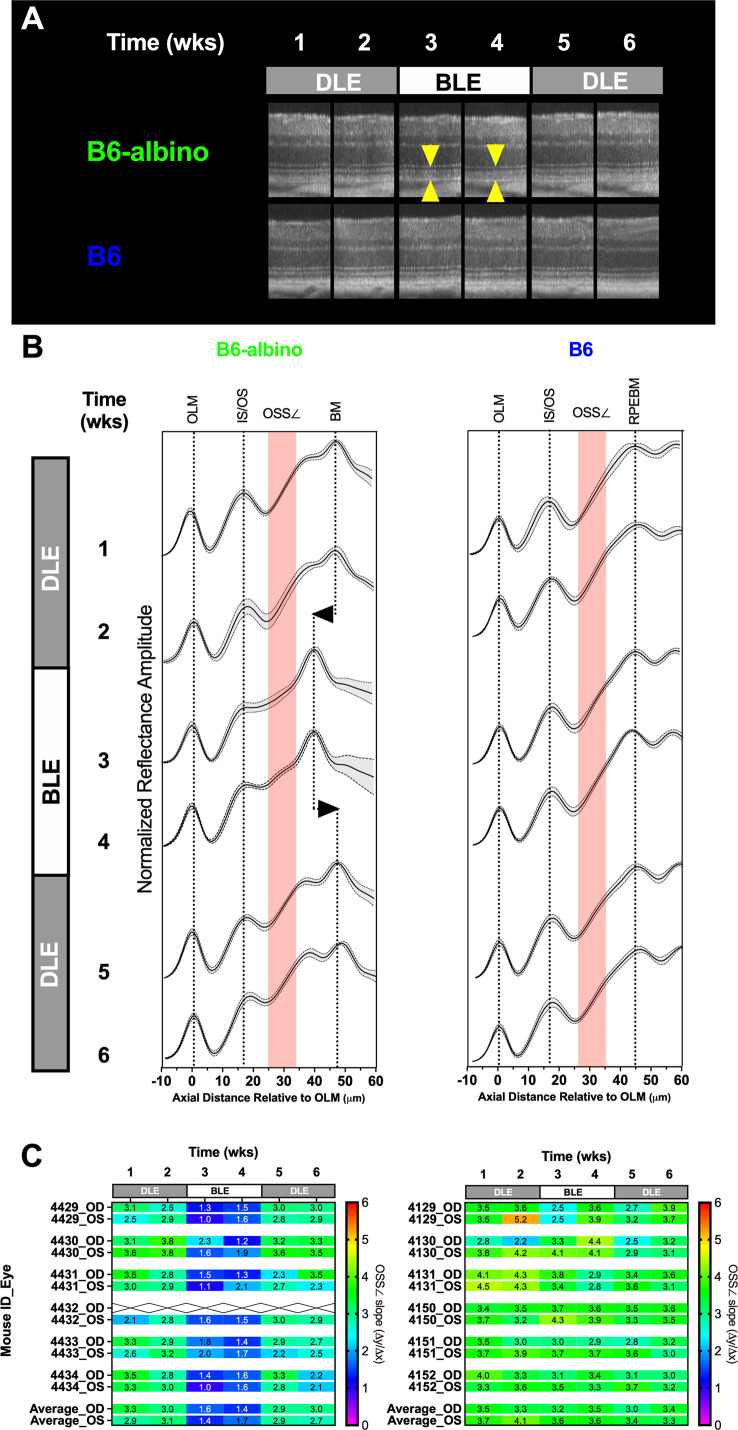 Figure 6