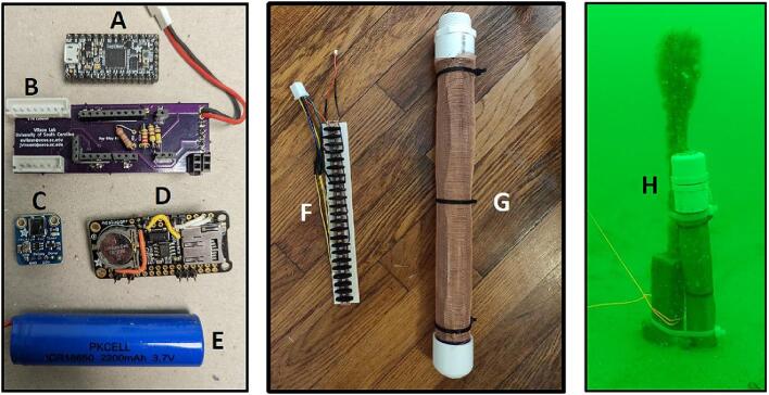 Figure 11