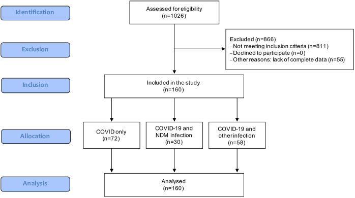 Figure 1