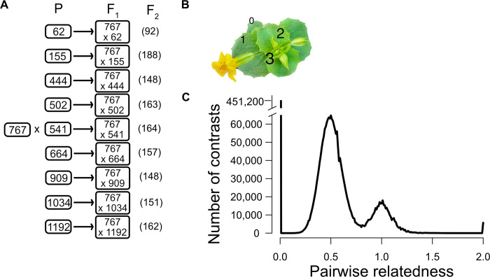Fig 1
