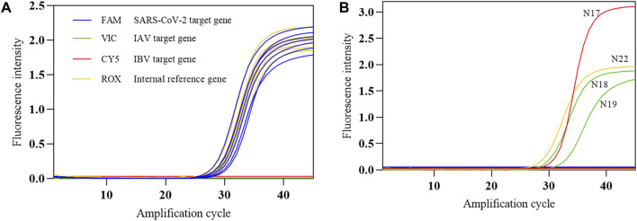 Figure 12